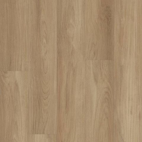 Shaw Distinction Plus Hazelnut Brown Swatch