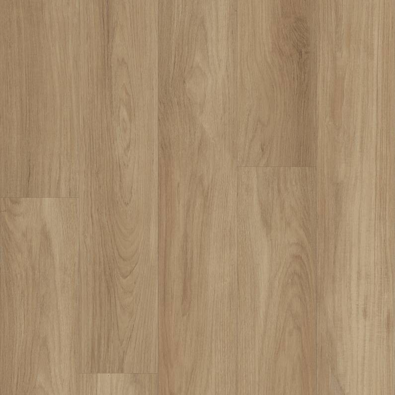 Shaw Distinction Plus Hazelnut Brown