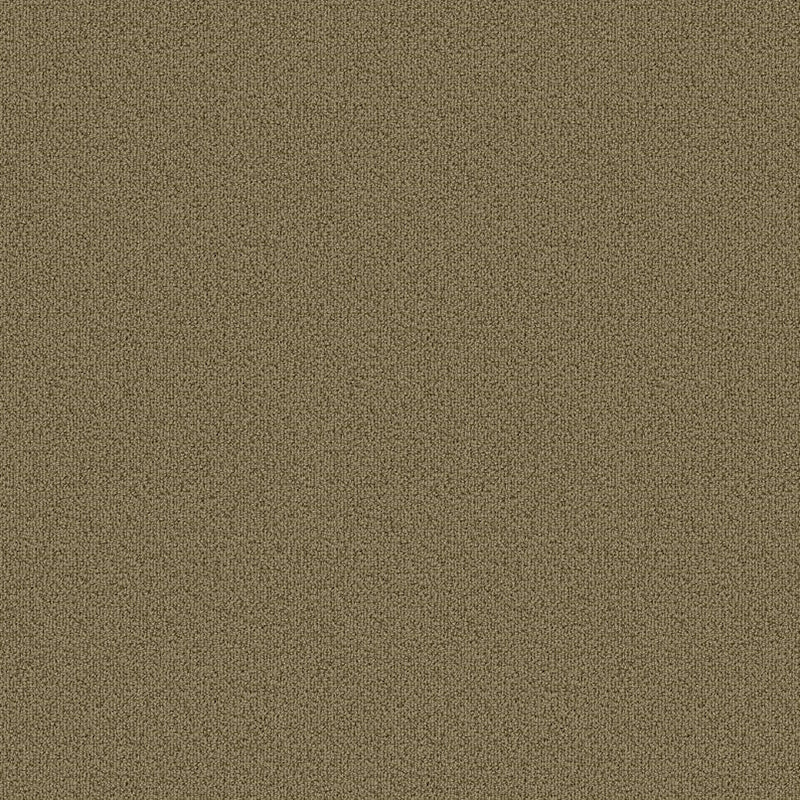 Shaw Carpet Tile Color Accents Herbal