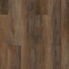 Shaw Anvil Plus 20 Highlight Oak Swatch