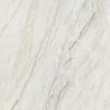Iconic Polished / 15.20