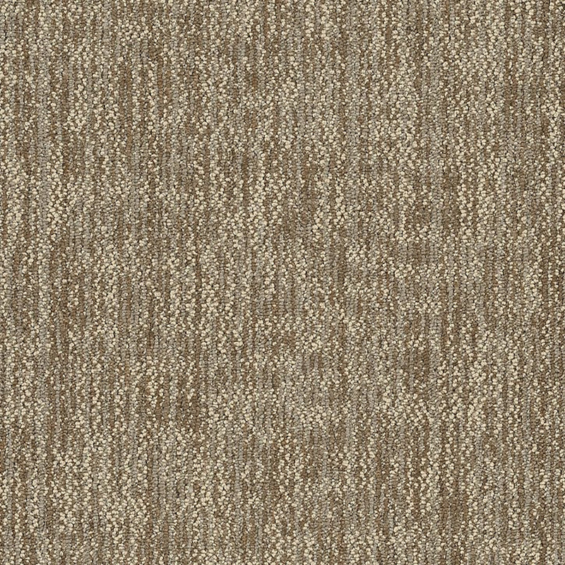 Shaw Carpet Tile Crazy Smart Igenious