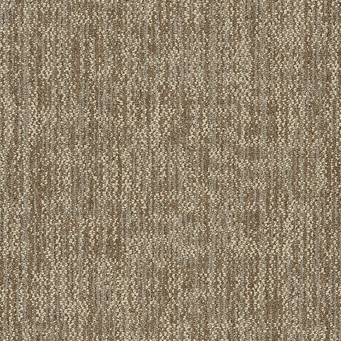 Shaw Carpet Tile Crazy Smart Igenious Swatch
