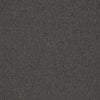 Shaw Carpet Tile Counterpart Impersonator Swatch