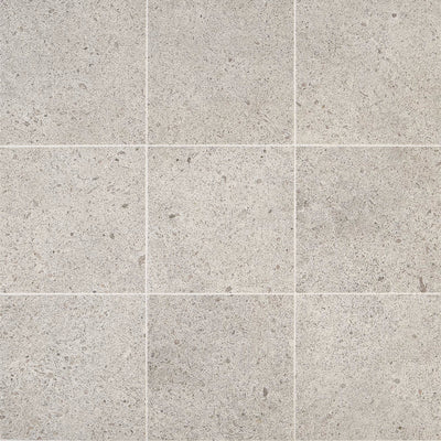 Daltile Industrial Park Light Gray