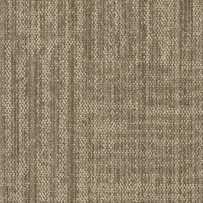 Shaw Carpet Tile Raw Beauty Ingenious