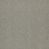 Shaw Carpet Tile Counterpart In Tandem Swatch