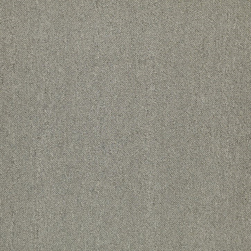 Shaw Carpet Tile Counterpart In Tandem