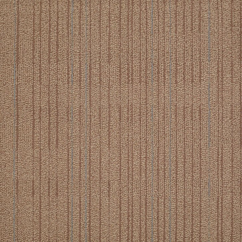 Shaw Carpet Tile Immerse Intensify
