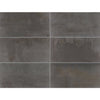 Daltile Emergent Rectangle 12x24 Iron