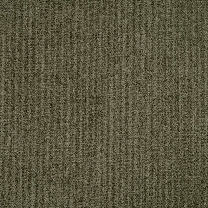 Shaw Carpet Tile Color Accents Ivy