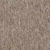 Shaw Carpet Tile Capital III Justice Swatch