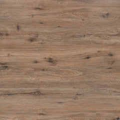 MSI Everlife Kallum Fauna Swatch