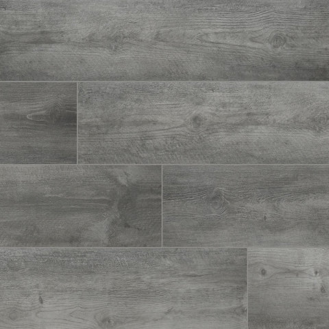 Arterra Porcelain Paver Katella Ash - 8"x47" Swatch