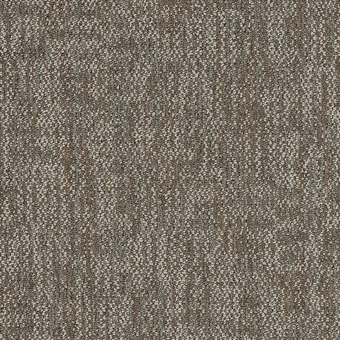 Shaw Carpet Tile Crazy Smart Keen Swatch