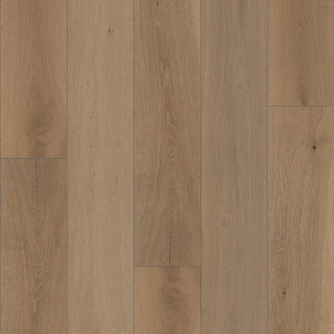 Shaw Expressions 9.5" Kinetic Swatch