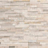 Realstone Systems Collection Latte Honed Panel 6"x24"