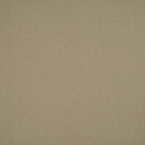 Shaw Carpet Tile Color Accents Lichen Swatch