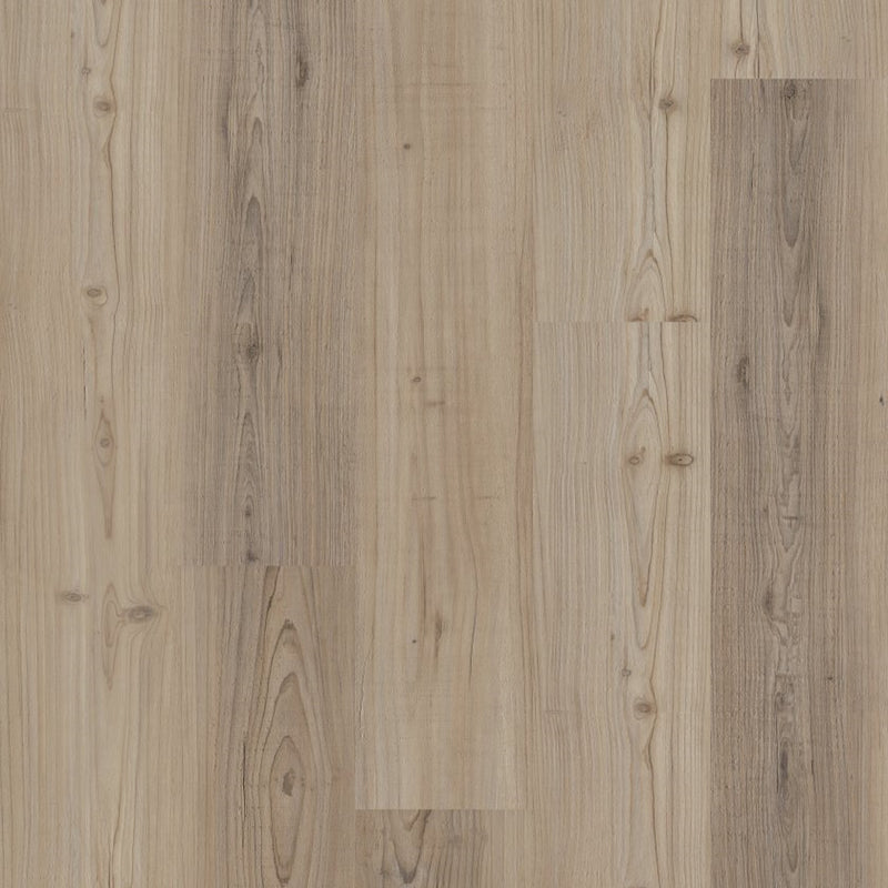 Shaw Distinction Plus Light Pine