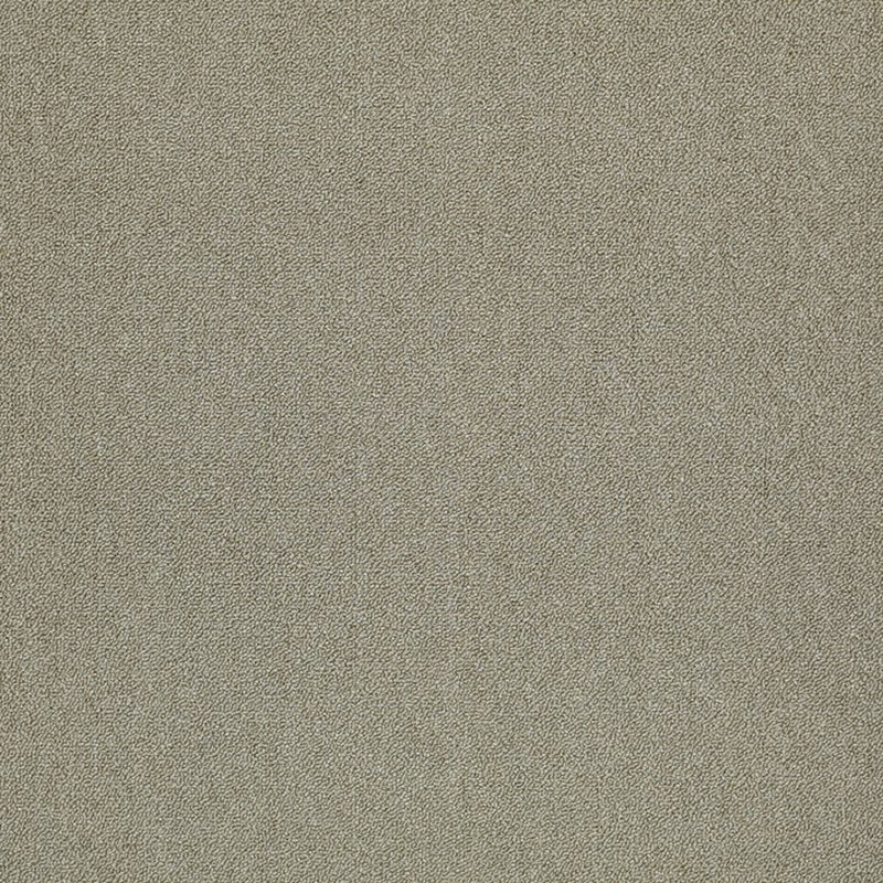 Shaw Carpet Tile Counterpart Likewise