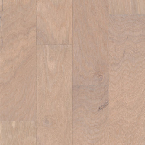 Shaw Villa Limestone Swatch