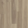 Shaw Floorte Pro Fresh Take Lounge Greige