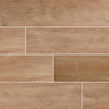 Arterra Porcelain Paver Lucas Betulla 12"x48" Swatch