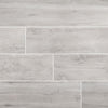 Arterra Porcelain Paver Lucas Canitia 12"x48" Swatch