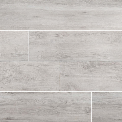 Arterra Porcelain Paver Lucas Canitia 12"x48" Swatch