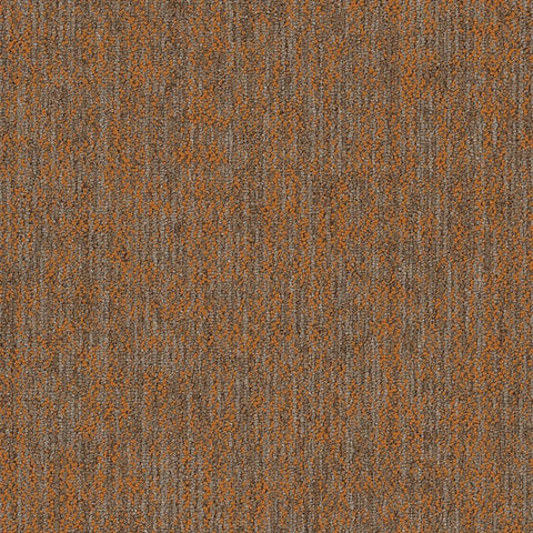 Shaw Carpet Tile Crazy Smart Magnetic Swatch