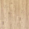 Mohawk Ellenwood Maple Sapling Oak