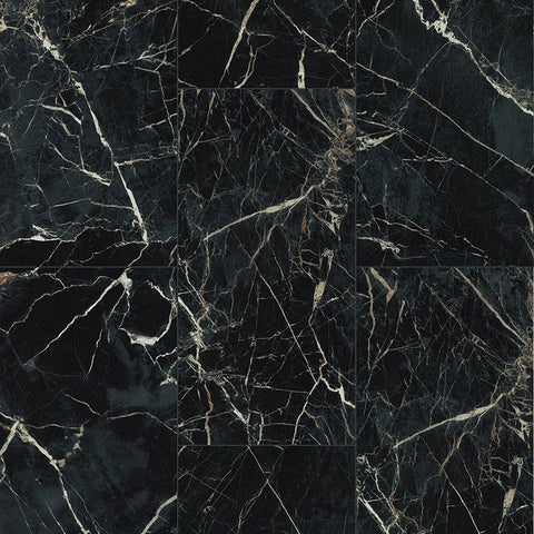 Paramount Bliss Dry Back Marquina Sample