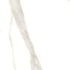 Tile Collection Mayfair 24x24 Tile Calacatta Oro Rectified Polished