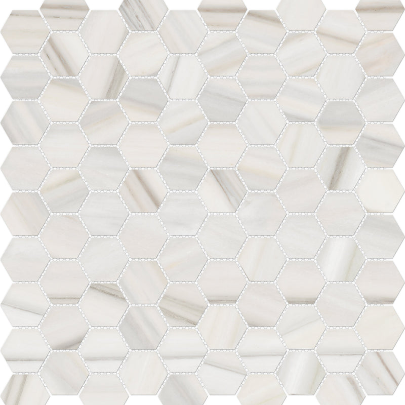 Tile Collection Mayfair Mosaic Hexagon Tile Zebrino