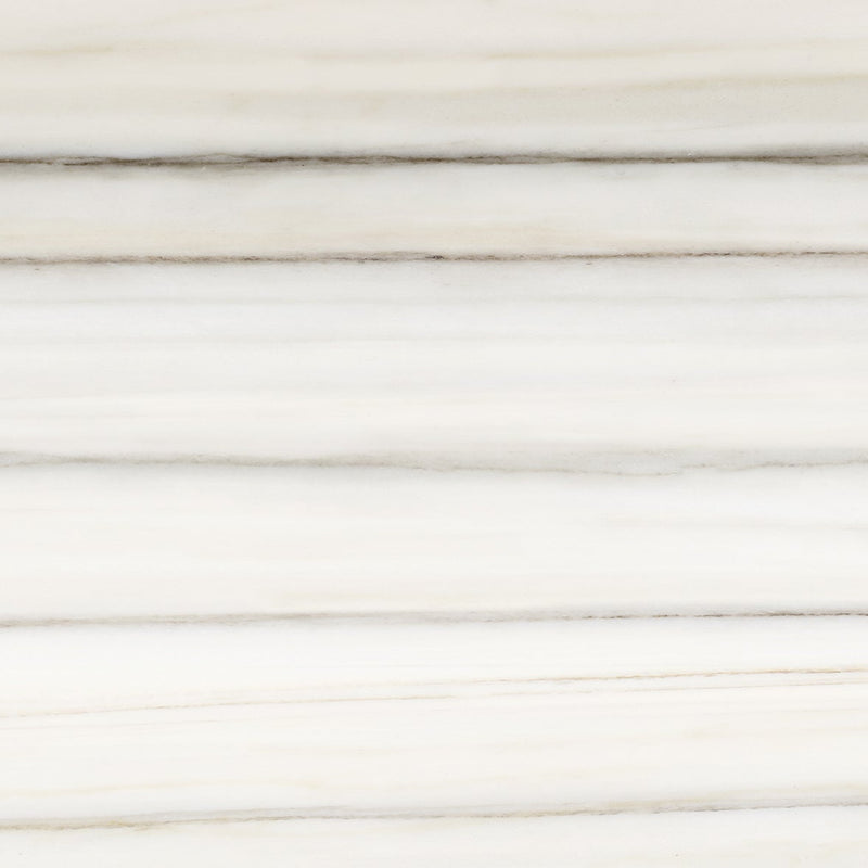 Tile Collection Mayfair 24x48 Tile Zebrino Rectified Polished