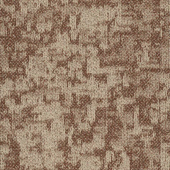 Shaw Carpet Tile Arid Mesa Swatch