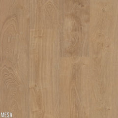 L.W. Mountain Boulder Dry Back Mesa