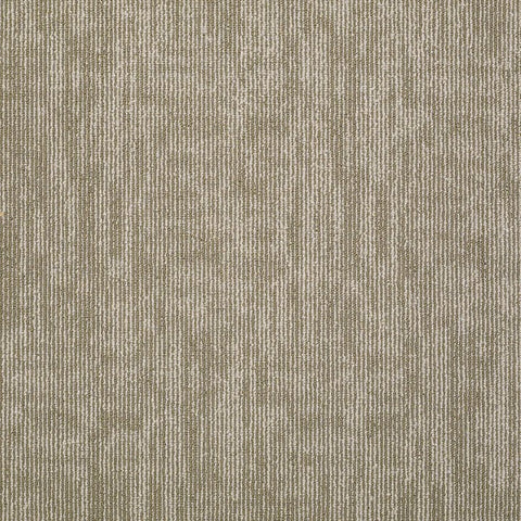 Shaw Carpet Tile Carbon Copy Mirror Image Swatch