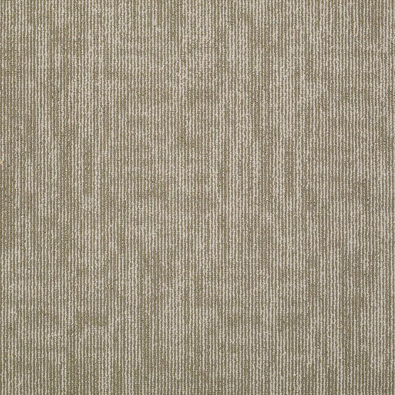 Shaw Carpet Tile Carbon Copy Mirror Image