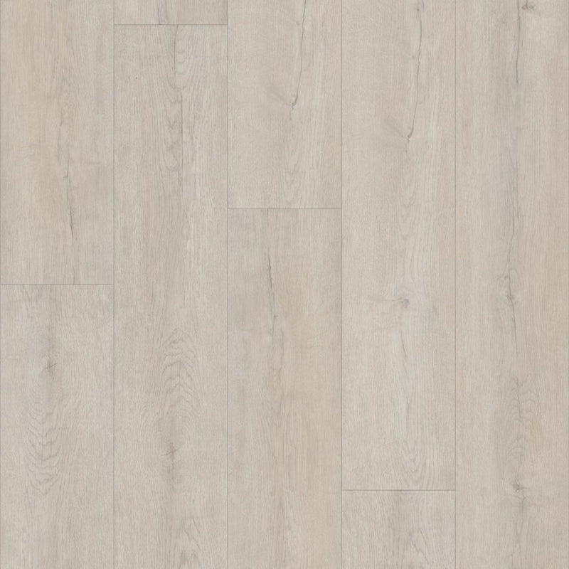 Shaw Distinction Plus Misty Grey