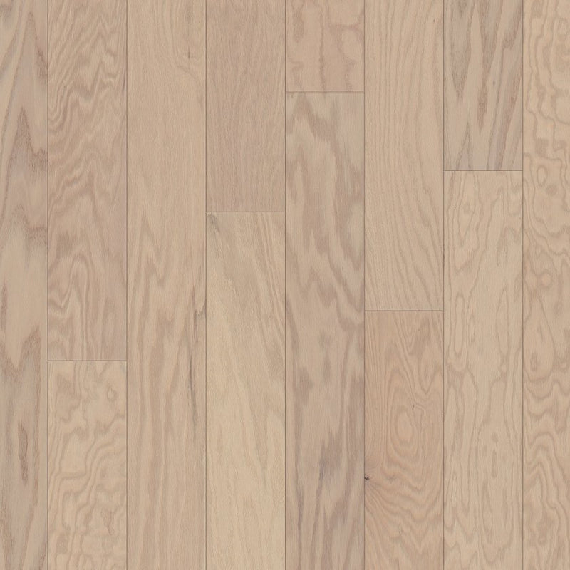 Shaw Hardwood Eclectic Oak Modern