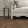Shaw Endura 512C Plus Modern Classic Room Scene