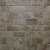 Paramount Tile Recovery Stone Mud 2" x 10"