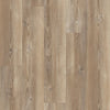 Shaw Vinyl Floorte Dockside Murrell's Inlet Swatch
