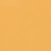 Mustard Glossy / 10.40
