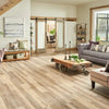 Mannington Adura Flex Plank Napa Dry Cork Room Scene