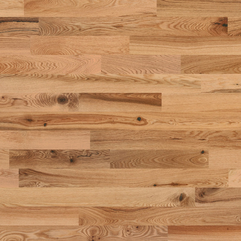 Paramount Montebello Red Oak Natural Sample