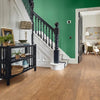 Karndean Luxury Vinyl Van Gogh Rigidcore Natural School Cedar