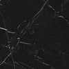 Virginia Tile Luxury 24x24 Tile Nero Marquina Rectified Polished