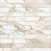 Daltile Divinium Mosaic Straight Joint Nova